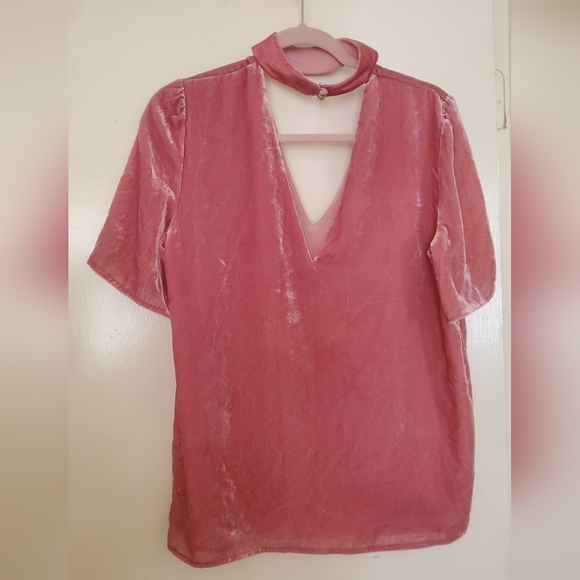 Paige Vintage Rose Velvet Cateline Top. - Picture 12 of 16
